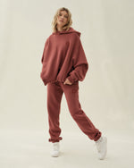 Load image into Gallery viewer, Vitals Hoodie in Brick Red
